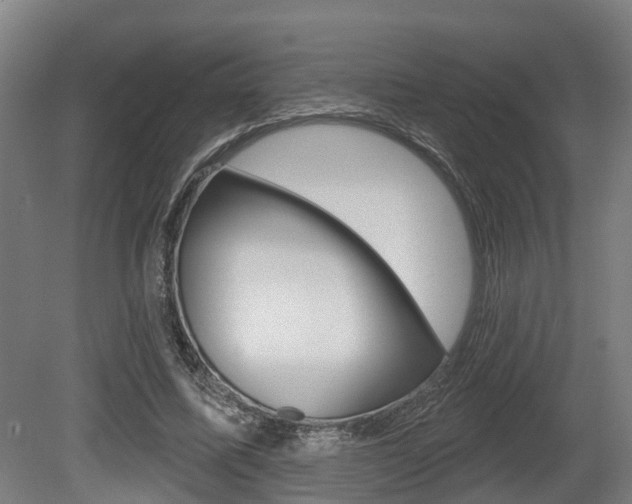 X0000079580587200612010928