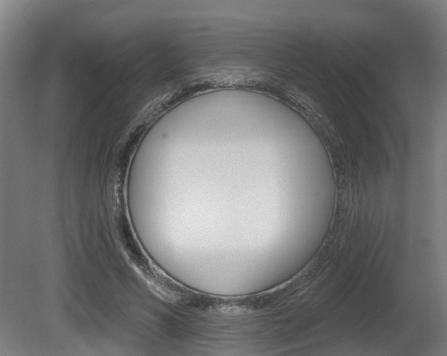 X0000079580590200612010927