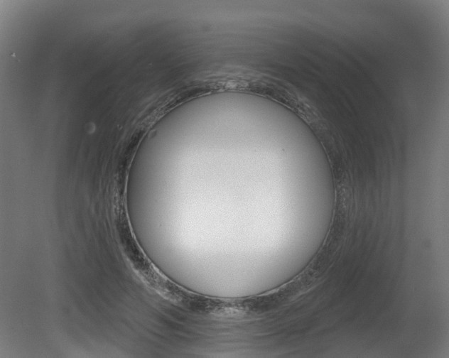 X0000079580594200612010927