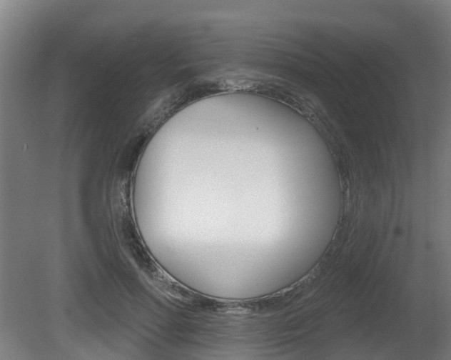 X0000079580598200612010927