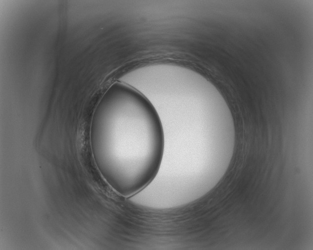 X0000079580600200612010927