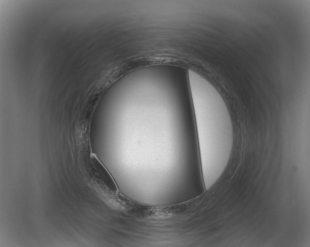 X0000079580601200612010927