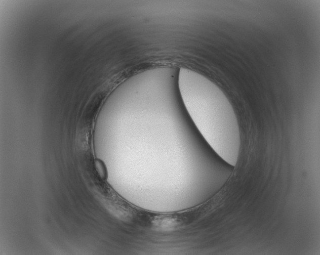 X0000079580602200612010927