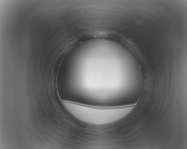 X0000079580604200612010927