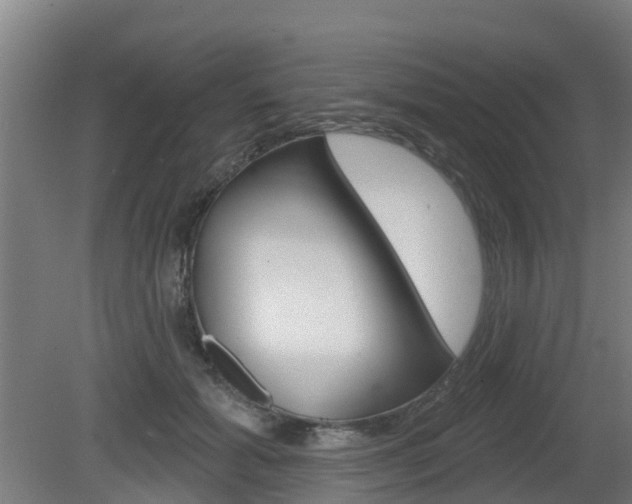 X0000079580605200612010927