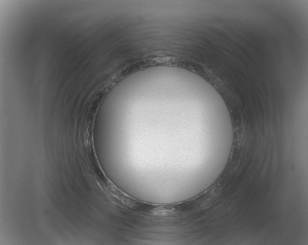 X0000079580606200612010927
