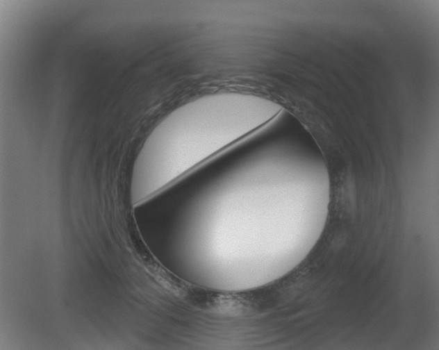 X0000079580608200612010927