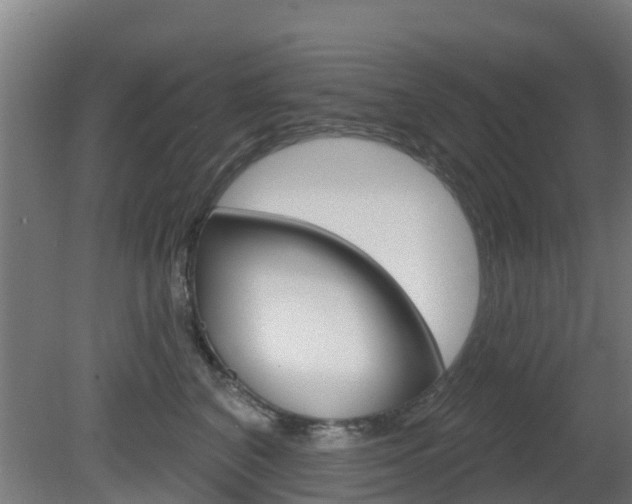 X0000079580616200612010927