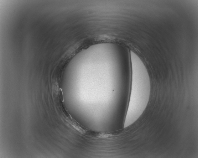 X0000079580617200612010927