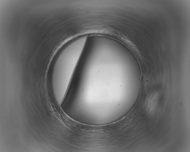 X0000079580628200612010926