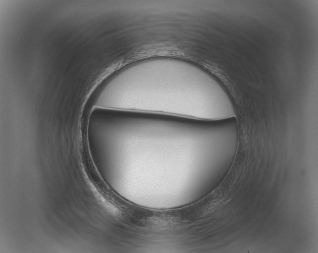 X0000079580630200612010926
