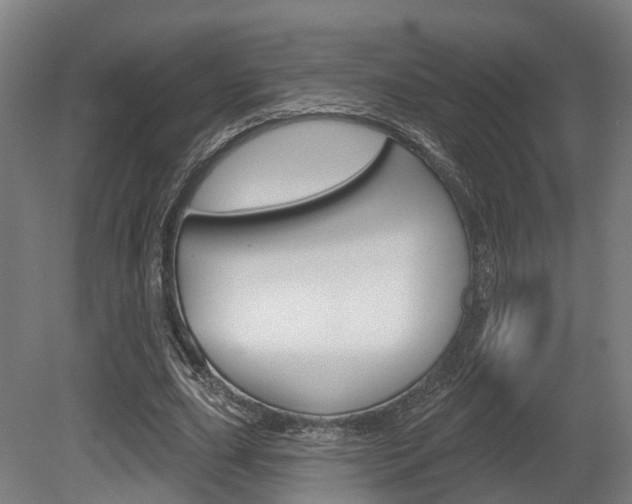 X0000079580631200612010926