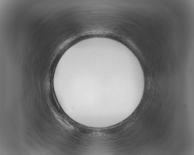 X0000079580632200612010926