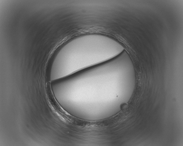 X0000079580634200612010926