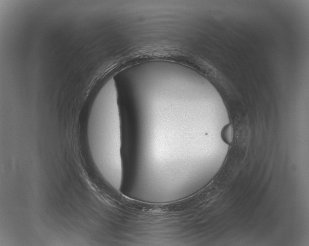 X0000079580635200612010926