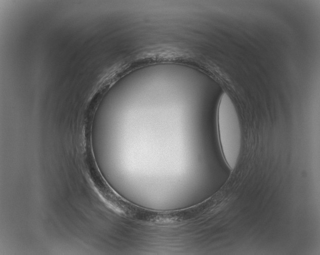 X0000079580638200612010926