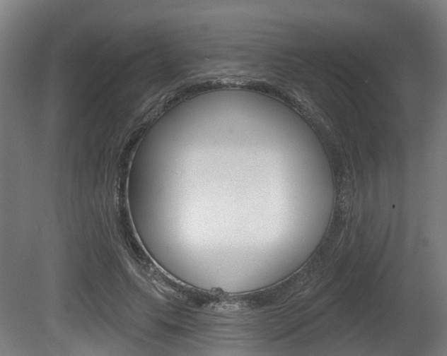 X0000079580639200612010926