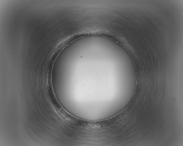 X0000079580640200612010926