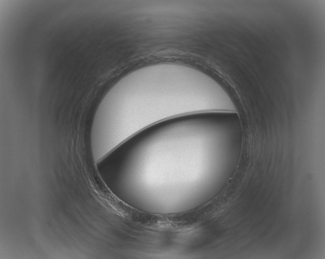 X0000079580641200612010926