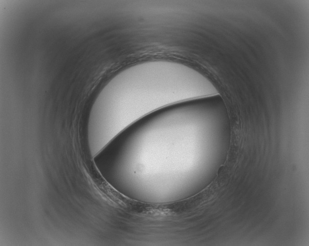 X0000079580642200612010926