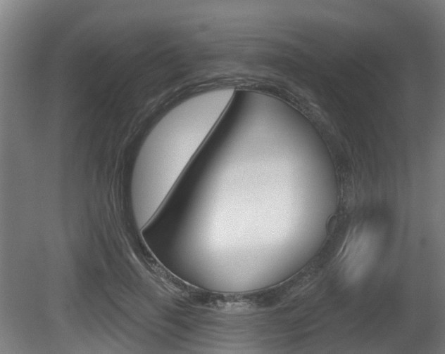 X0000079580645200612010926