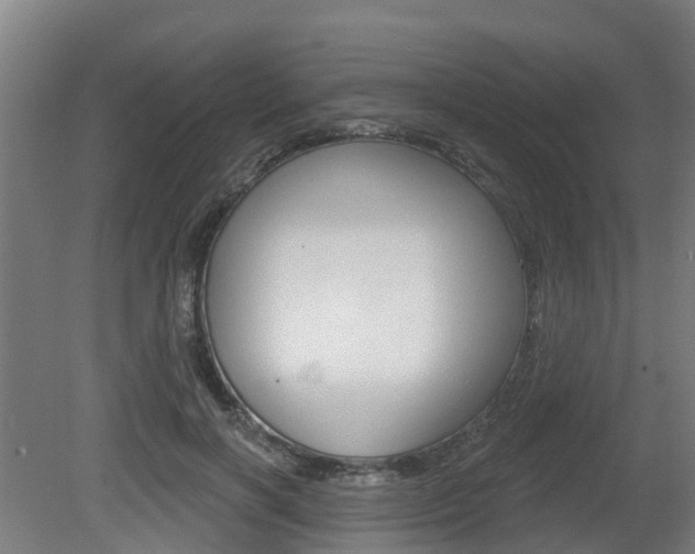 X0000079580646200612010926