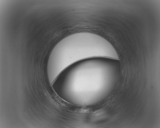 X0000079580647200612010926