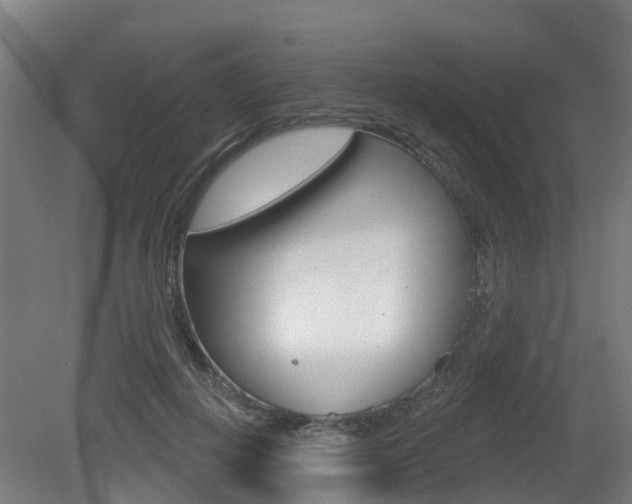 X0000079580648200612010926