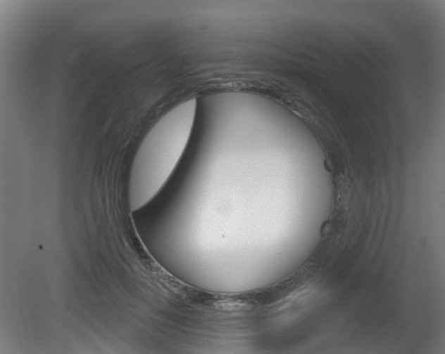 X0000079580650200612010926