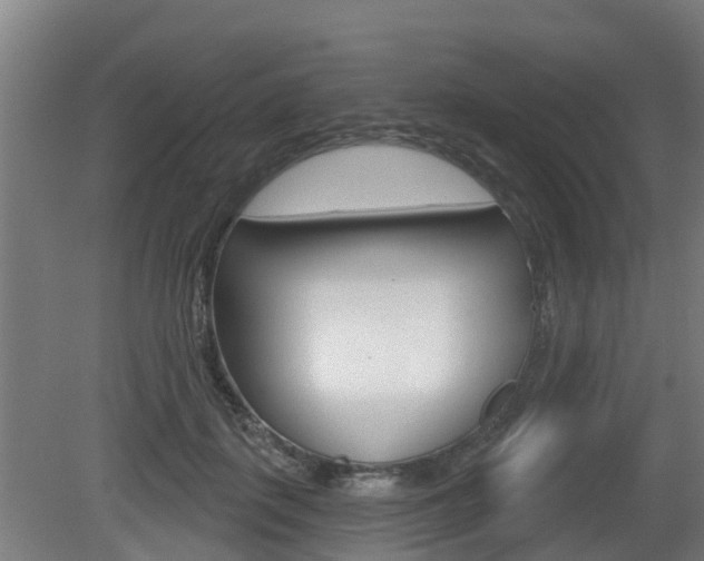 X0000079580651200612010926