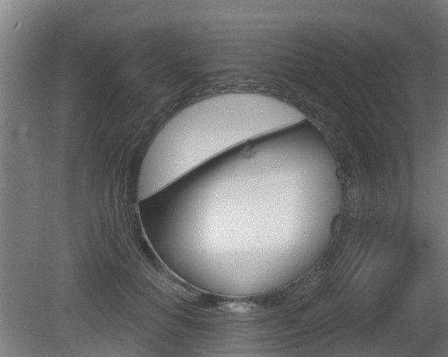 X0000079580654200612010927