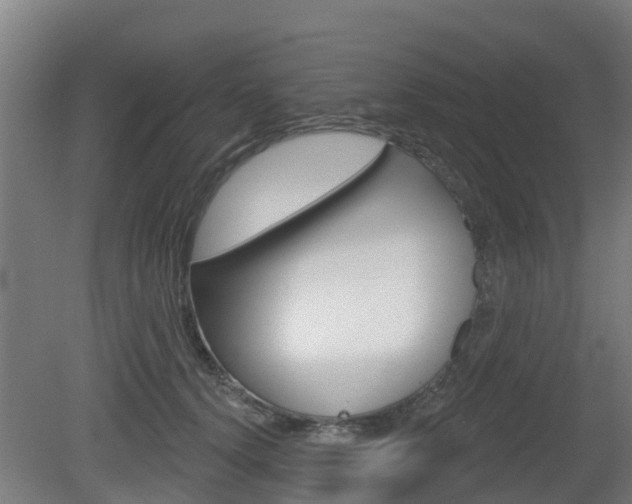 X0000079580656200612010927