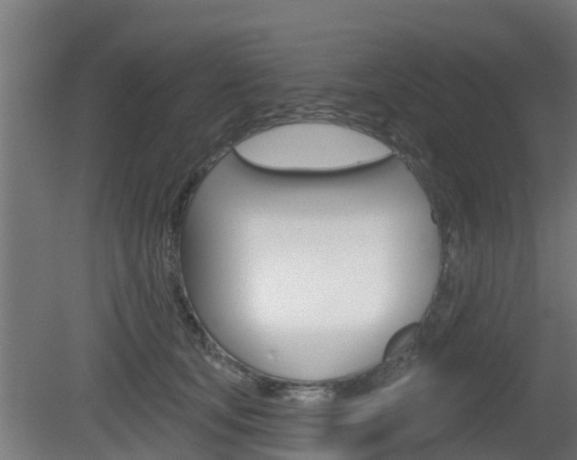 X0000079580659200612010927