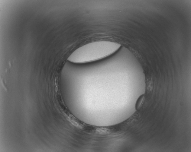 X0000079580666200612010927