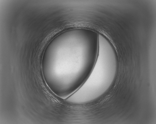X0000079580673200612010926