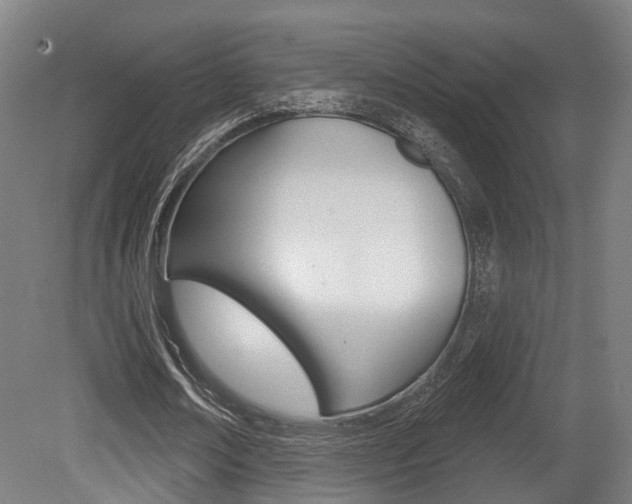 X0000079580674200612010926