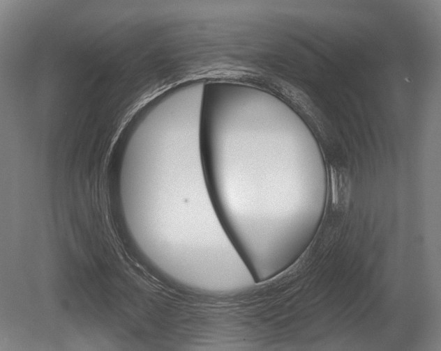 X0000079580675200612010926