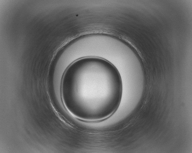 X0000079580677200612010926