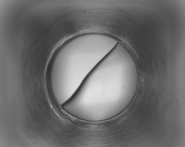 X0000079580678200612010926