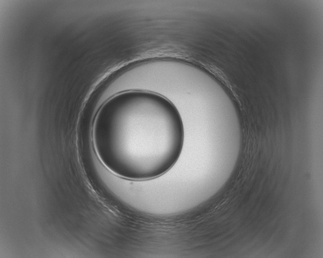 X0000079580680200612010926