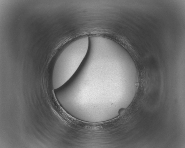 X0000079580683200612010926