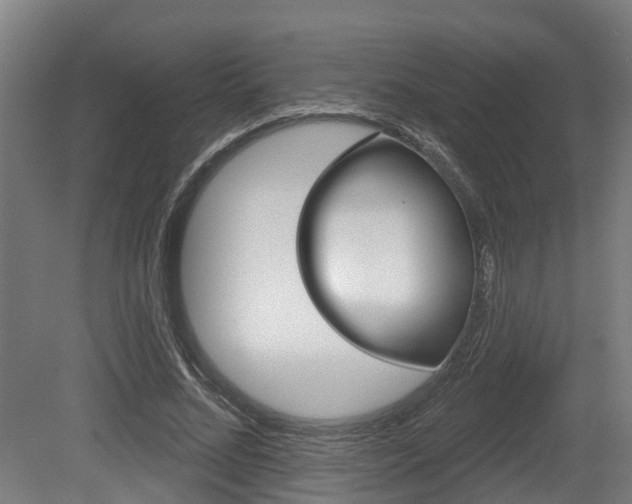 X0000079580684200612010926