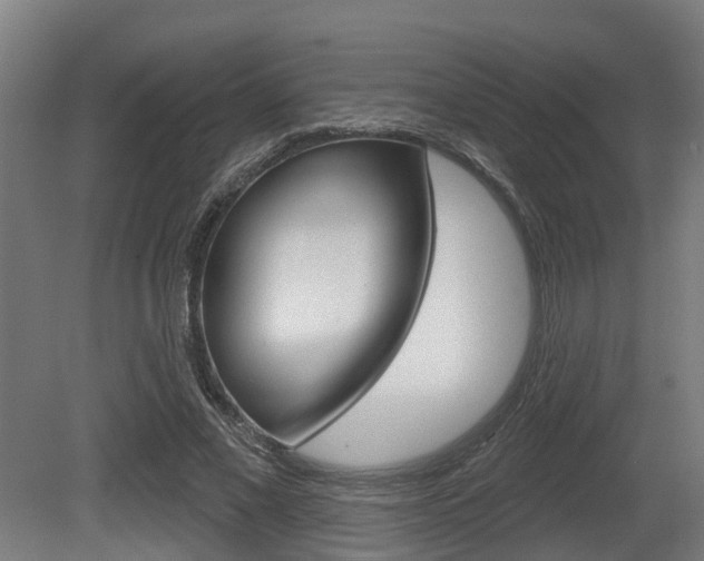 X0000079580685200612010926