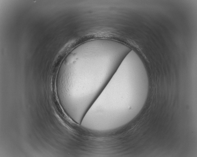 X0000079580686200612010926