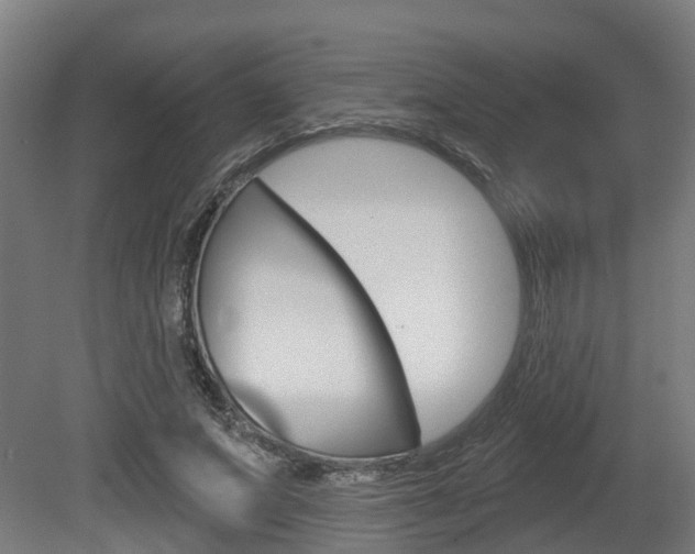 X0000079580687200612010926