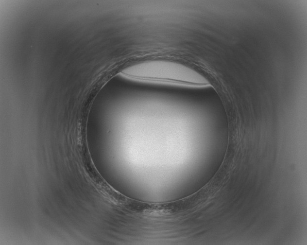 X0000079580689200612010926