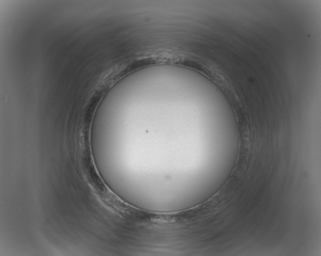 X0000079580690200612010926