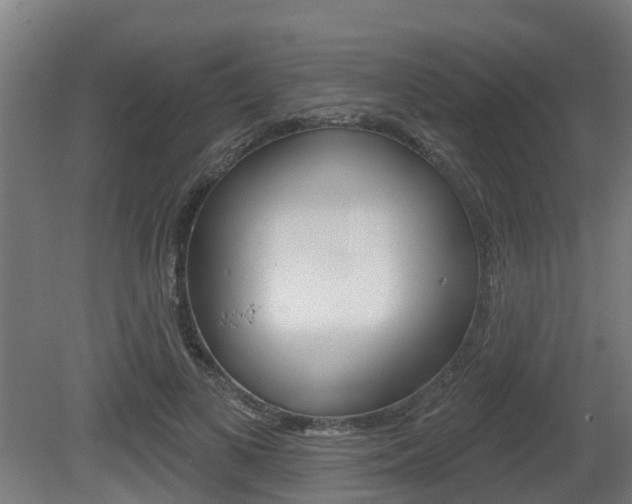 X0000079580693200612010926
