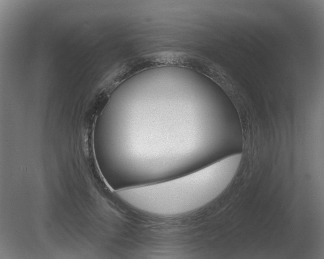 X0000079580696200612010926