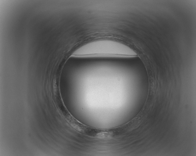 X0000079580700200612010926